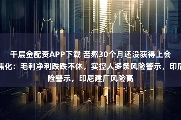 千层金配资APP下载 苦熬30个月还没获得上会机会的阳光焦化：毛利净利跌跌不休，实控人多条风险警示，印尼建厂风险高