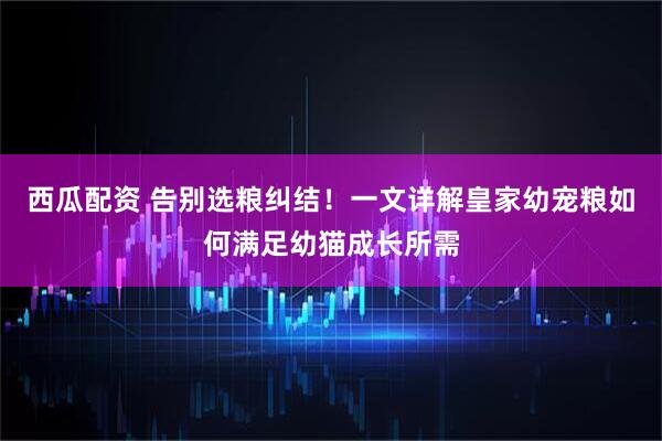 西瓜配资 告别选粮纠结！一文详解皇家幼宠粮如何满足幼猫成长所需