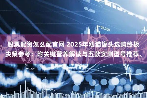 股票配资怎么配官网 2025年幼猫罐头选购终极决策参考：附关键营养解读与五款实测型号推荐。