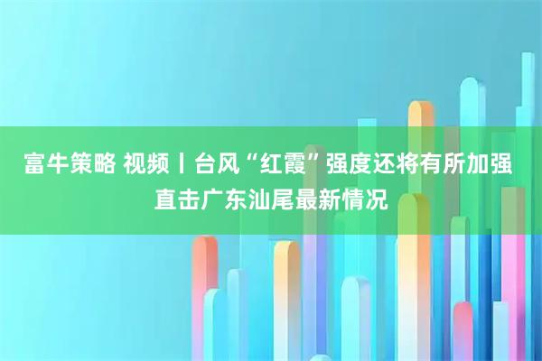 富牛策略 视频丨台风“红霞”强度还将有所加强 直击广东汕尾最新情况
